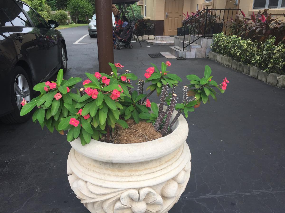 Fort Myers Inn Екстериор снимка